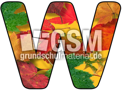 Herbstbuchstabe-5-W.jpg